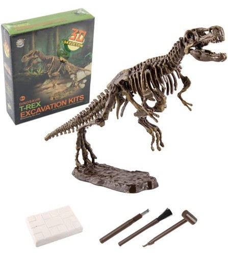 Science kidz fossils - kidz,