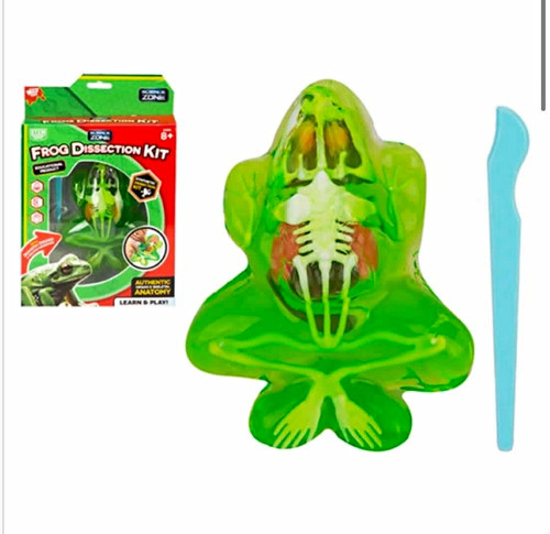 Wild science frog dissection - science,