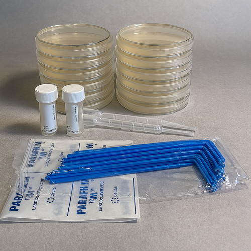 Bacteria science kit - bacteria,