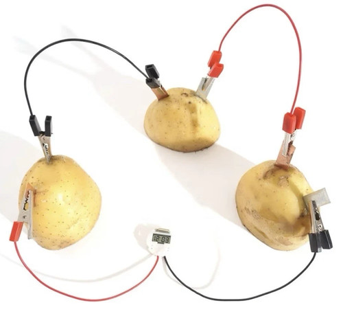 Fruit potato battery - potato,
