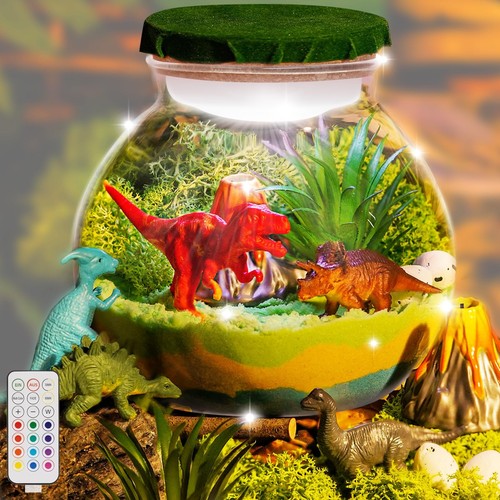 Dinosaur terrarium kit - dinosaur, diy